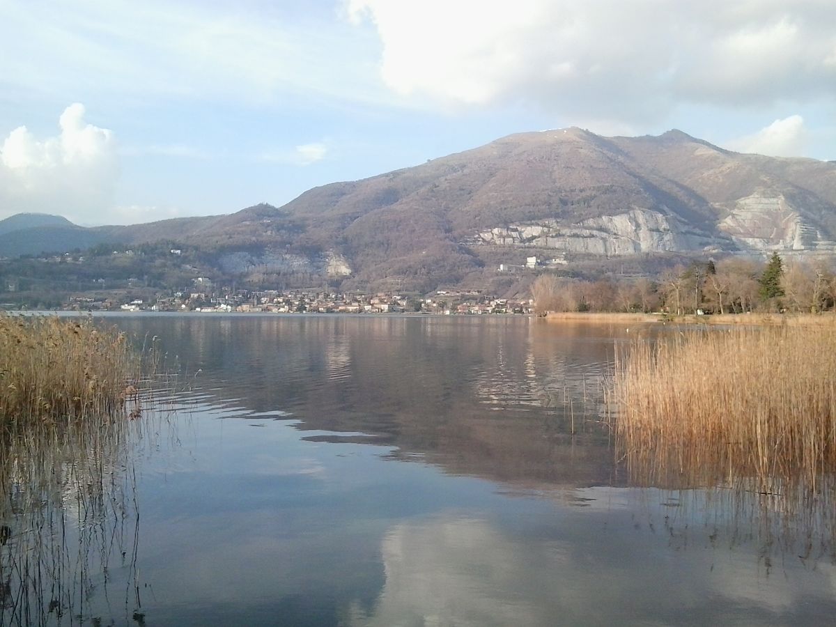 At the heart of the Pre-Alps: Palazzo Beauharnais, Lake Pusiano and the wild Cypress Island (3 hours)